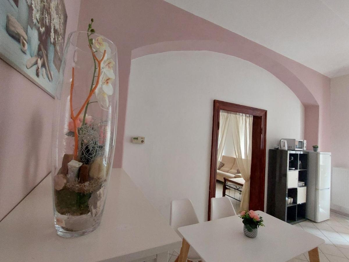 Exkluzivni Apartman V Prizemi V Hradci Kralove Градец-Кралове Экстерьер фото